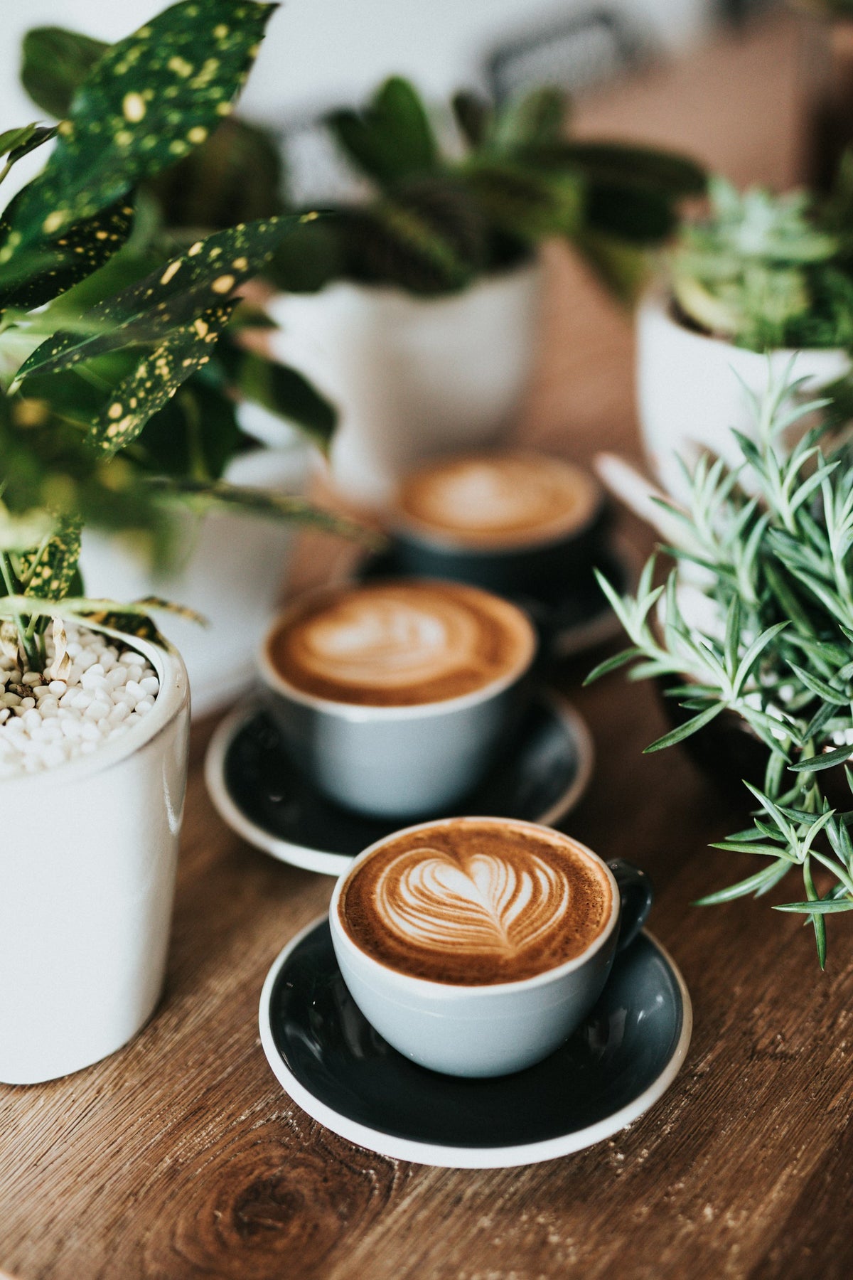 Americano | ROVE Cafe Abu Dhabi