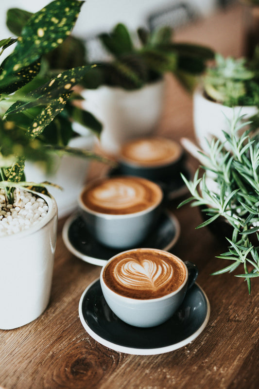 Americano | ROVE Cafe Abu Dhabi